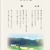 サムネイル 20