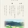 サムネイル 19