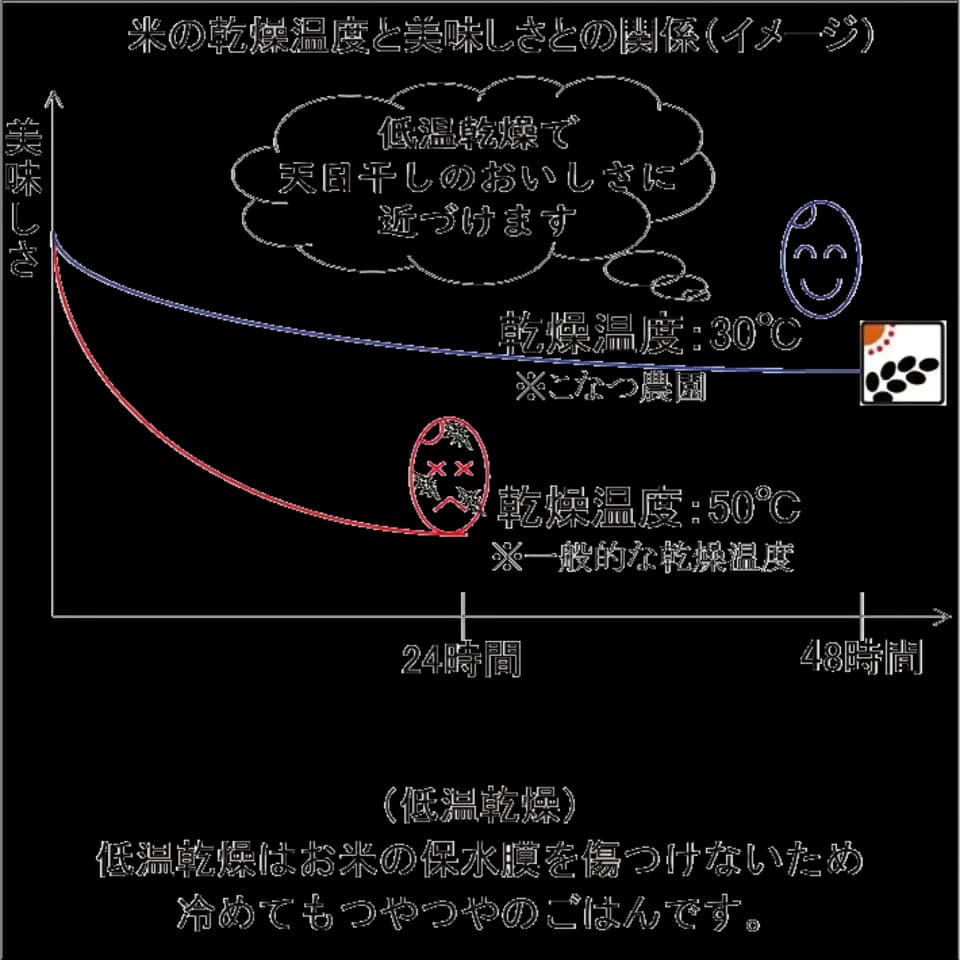 【令和7年度産】真空パックの有機JAS米（11月より出荷予定）