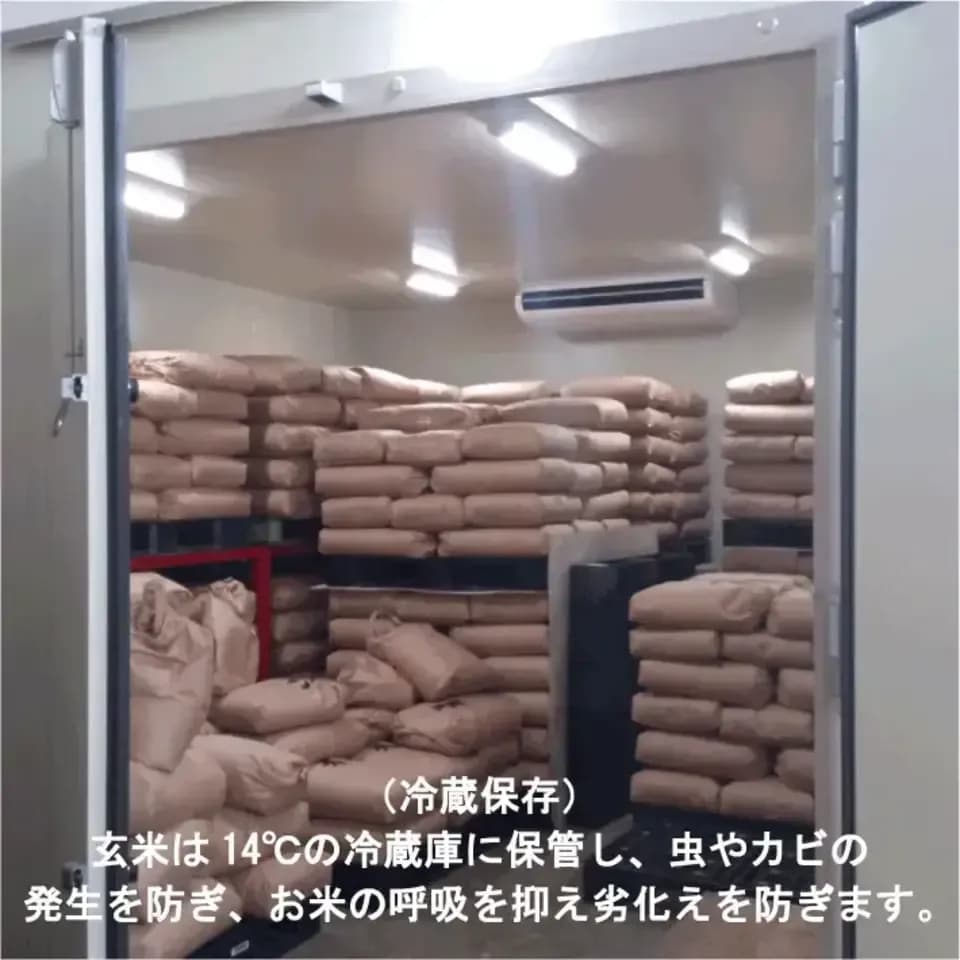 【令和7年度産】真空パックの有機JAS米（11月より出荷予定）