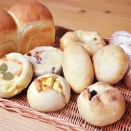 【定期購入】 Mサイズ定期便