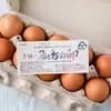 サムネイル 9