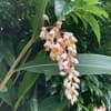 サムネイル 17
