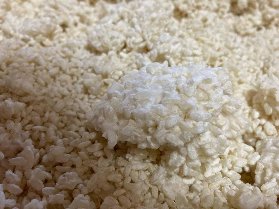 【さらたま糀】ひとさじで、おうちごはんが調う発酵調味料・玉ねぎ麴┃栽培期間中、無農薬・無化学肥料栽培の原料使用