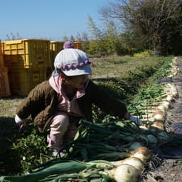 たくさんのご注文ありがとうございます。