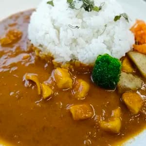 スパイス×和出汁。出汁で食べる旨みたっぷり土佐カレー＜無添加・グルテンフリー・砂糖不使用・天日塩100%＞ 四万十鶏と宗田節。