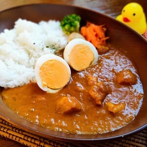 子供に安心して出せる。四万十鶏のスパイスカレー ＜無添加・グルテンフリー・砂糖不使用＞ 