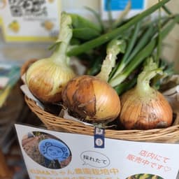 KUMAちゃん農園の今