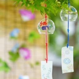 涼を求めて。冷たくひやした有機抹茶プリンを。