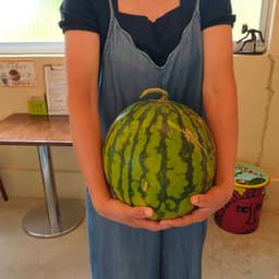 すいかドロボー🍉