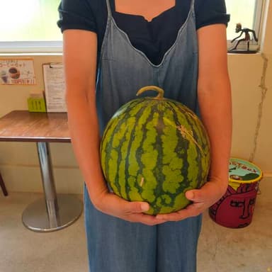 すいかドロボー🍉