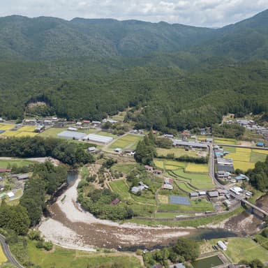 熊野薬草園について