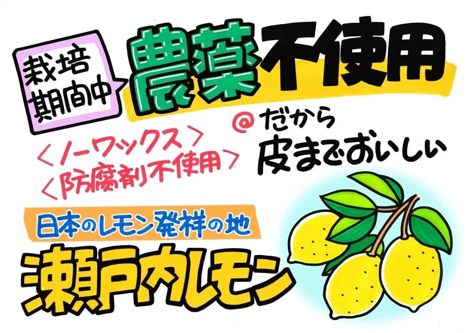 無農薬・広島産瀬戸内レモン 注文後収穫 国本農園 (広島県産) 果物