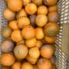 サムネイル 4