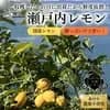 サムネイル 12