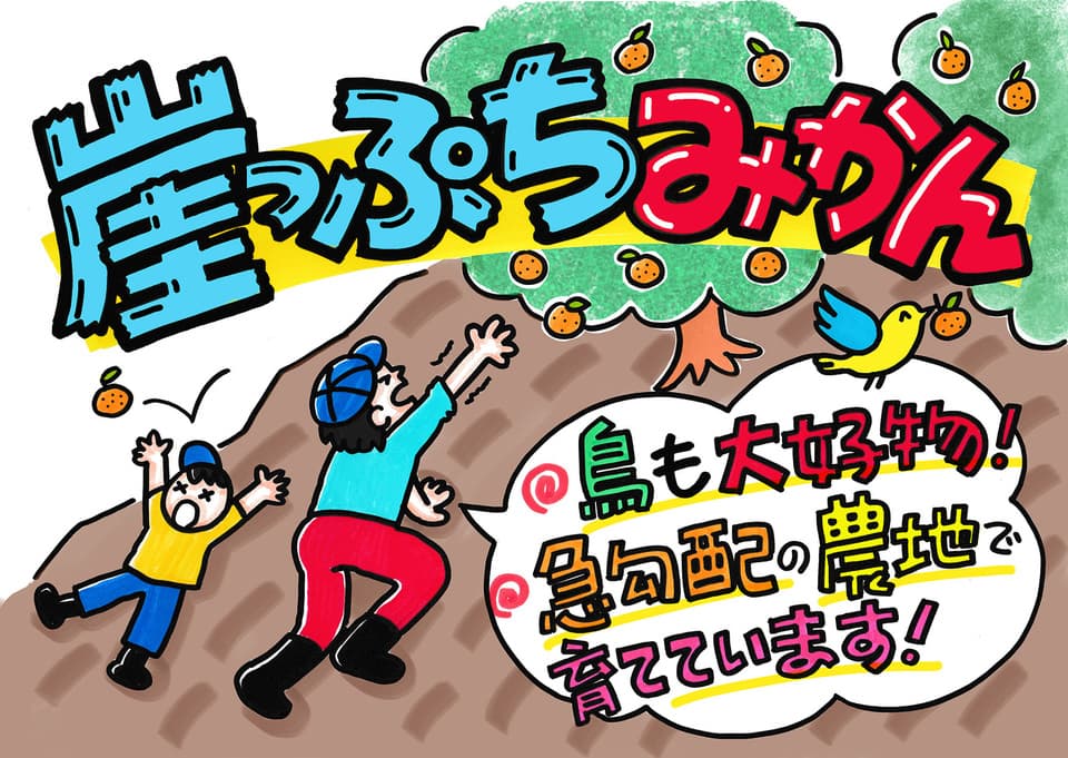 無農薬・自然栽培＜みかん＞家庭用　