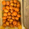 サムネイル 2