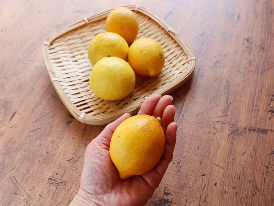レモン　15k箱入り　瀬戸内産無農薬栽培 無農薬・広島産瀬戸内レモン 注文後収穫 国本農園 (広島県産) 果物