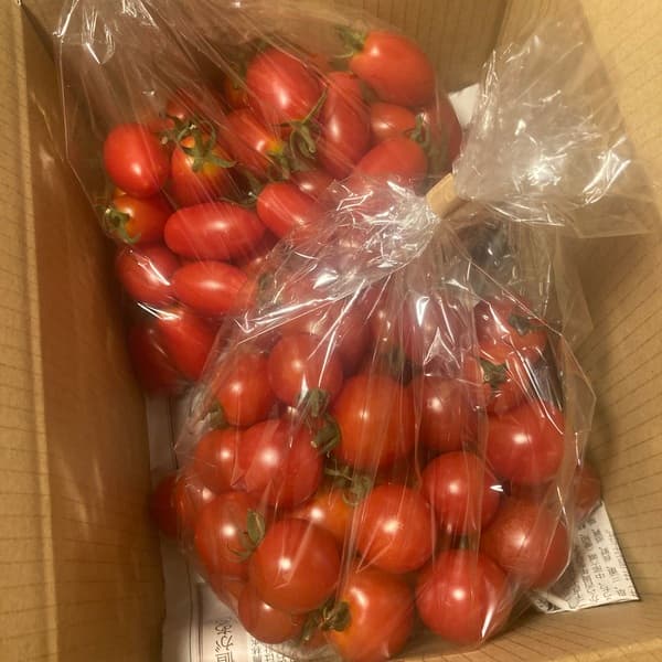 ６０サイズに入るだけ（約１.８kg）