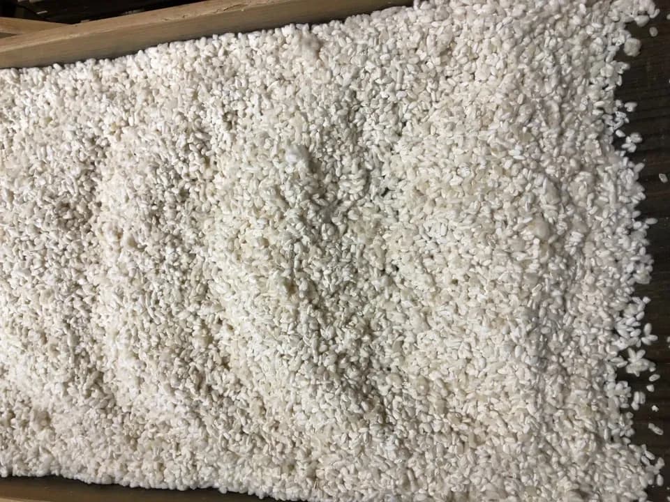 農薬・化学肥料不使用のお米使用＜生こうじ＞無肥料栽培・はざかけ干しの農林22号を7分搗きで精米し生のこうじでお届け