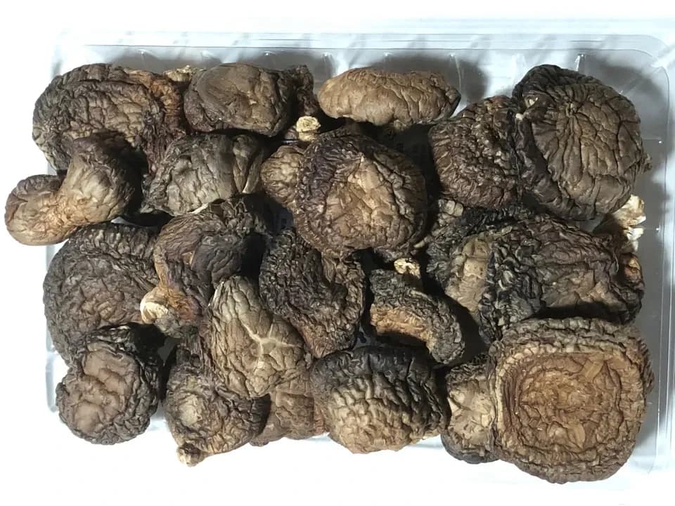 肉厚で香ばしい露地栽培＜原木干し椎茸＞出汁がよく出て煮物におすすめ！1袋たっぷり100g