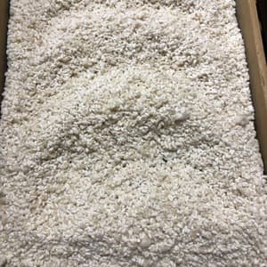 3月13日出来上がり予定！はざかけ干し自家栽培米「亀治」使用＜生こうじ＞ご自宅の手作り味噌に！甘酒に！の口コミ・レビュー(みやこさん)