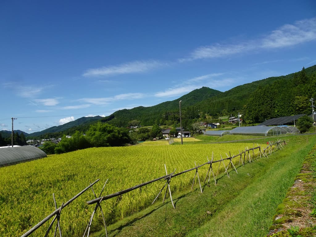 黒川つばくろ農園メイン画像