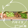 Mサイズ