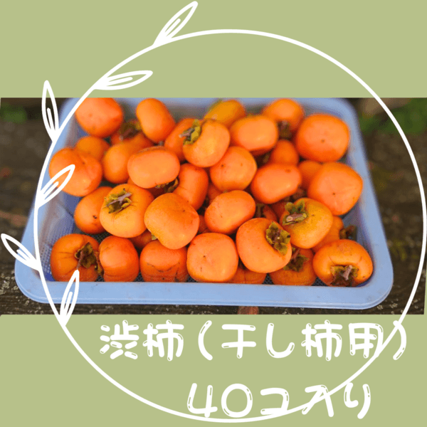 Mサイズ(30~40コ)