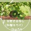 Sサイズ (2kg入り)