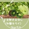 Mサイズ (3kg入り)