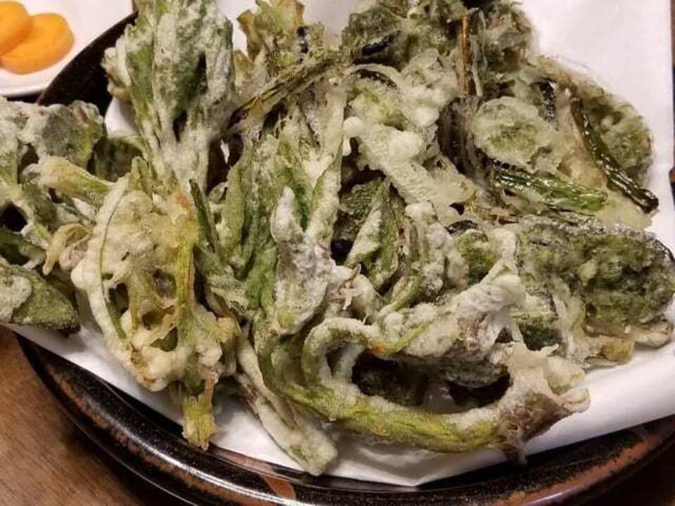 予約開始！【常温配送】天然＜春の山菜セット＞飯綱の里山で芽吹いた採れたて山菜の詰め合わせ