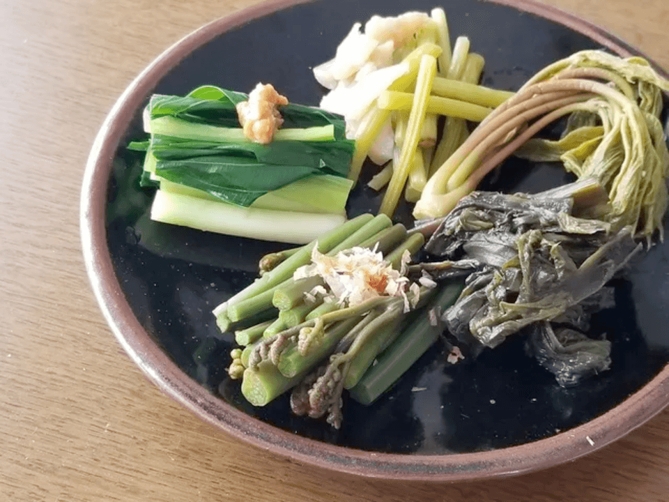 予約開始！【常温配送】天然＜春の山菜セット＞飯綱の里山で芽吹いた採れたて山菜の詰め合わせ