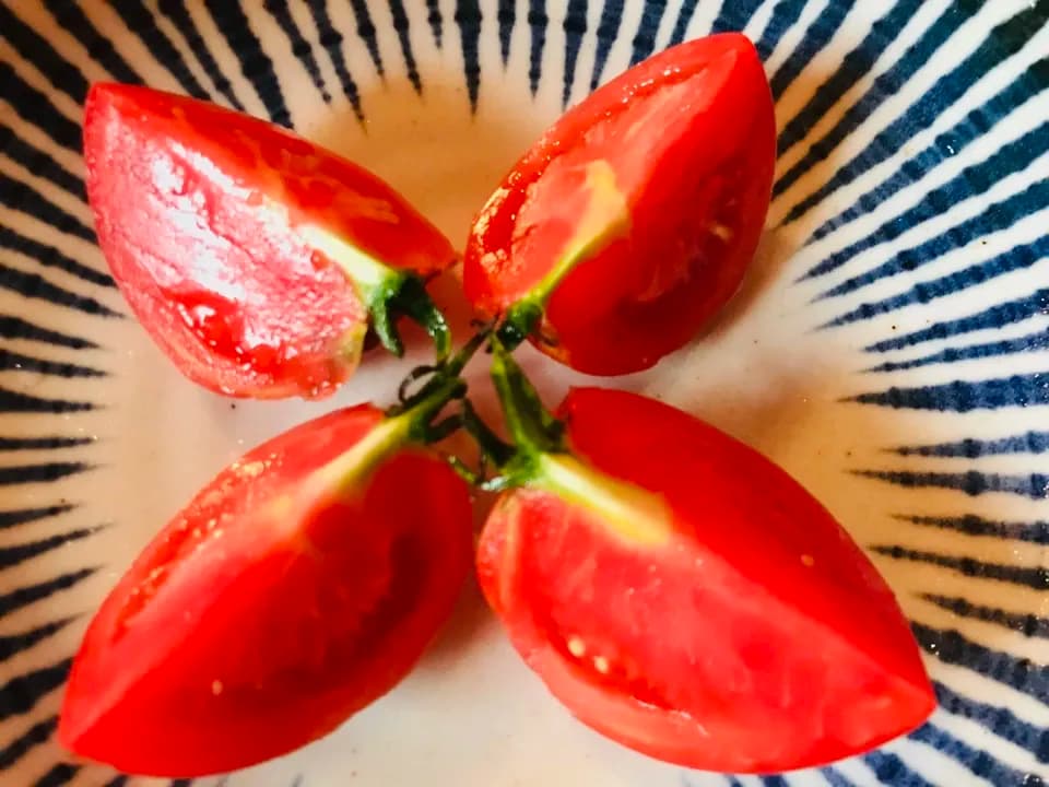 太陽の恵み＜農園の採れたて夏野菜セット(7月~9月) ＞農薬・化学肥料不使用