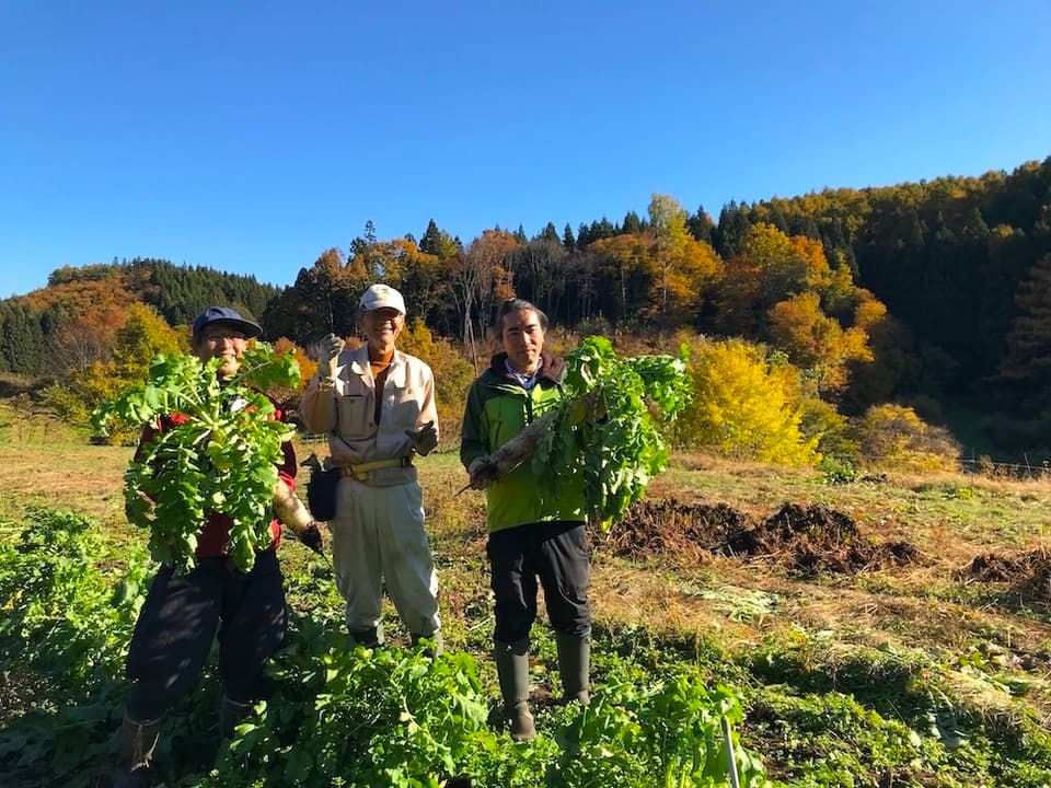秋の味覚！採れたて天然きのこと秋野菜セット