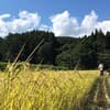 サムネイル 10