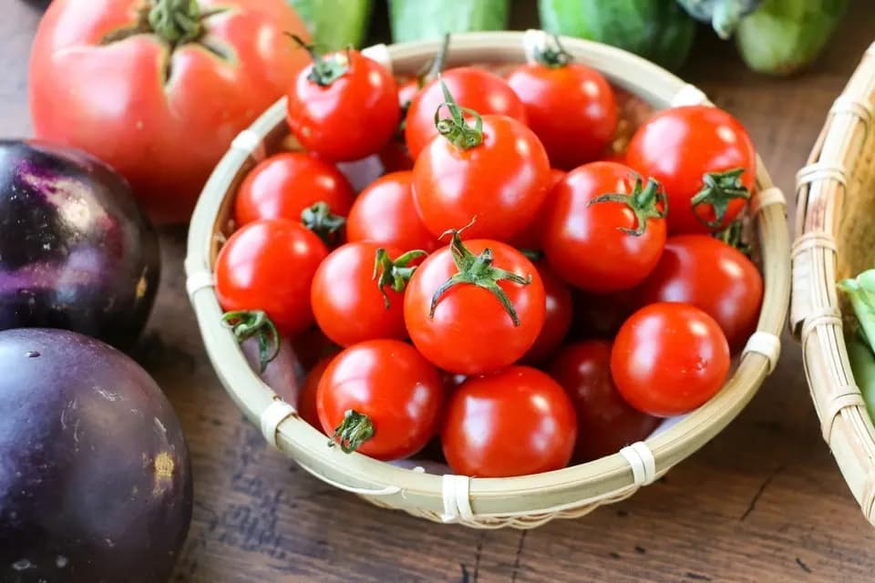 太陽の恵み＜農園の採れたて夏野菜セット(7月~9月) ＞農薬・化学肥料不使用
