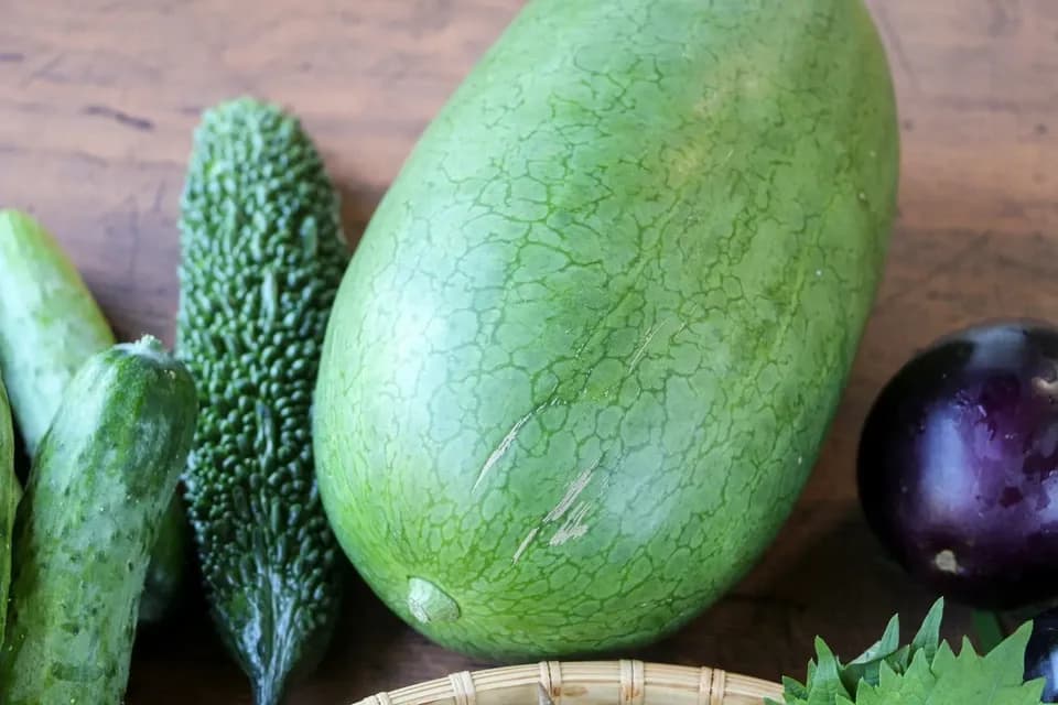 太陽の恵み＜農園の採れたて夏野菜セット(7月~9月) ＞農薬・化学肥料不使用