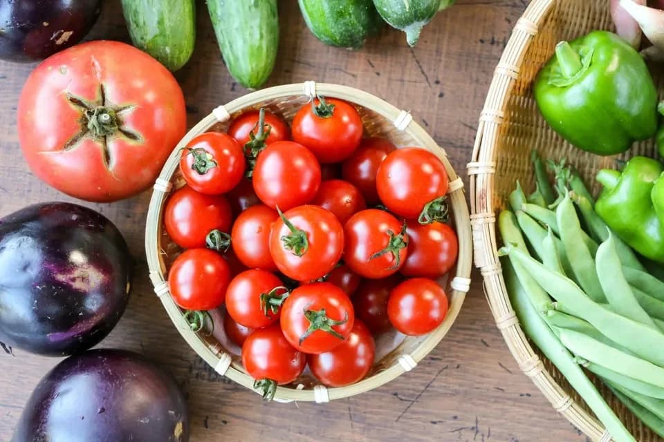 太陽の恵み＜農園の採れたて夏野菜セット(7月~9月) ＞農薬・化学肥料不使用