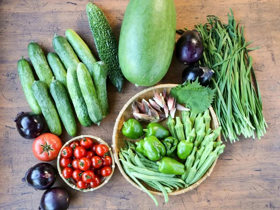 太陽の恵み＜農園の採れたて夏野菜セット(7月~9月) ＞農薬・化学肥料不使用