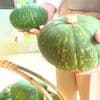 サムネイル 4