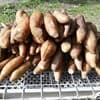 サムネイル 1