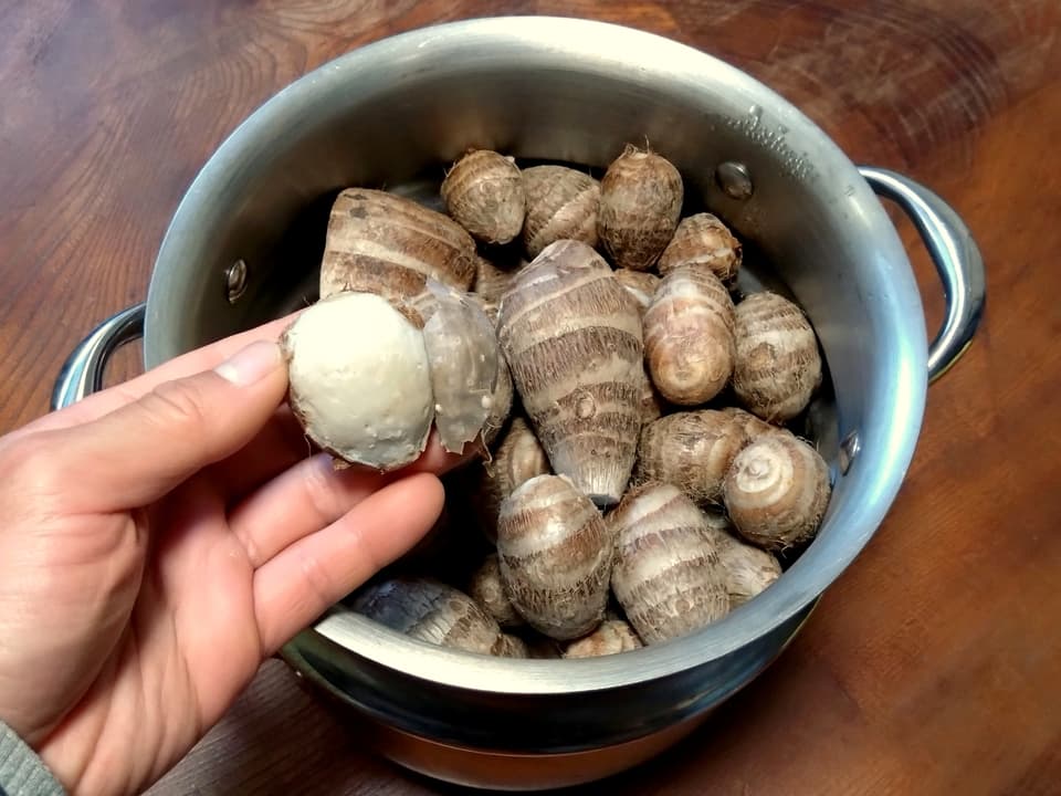 【無農薬】里芋２種類食べ比べセット！栗のようにホクホク甘い里芋 八つ頭 ＆ 在来種の里芋 大野在来（大野芋）合計2.5kg【自然栽培】