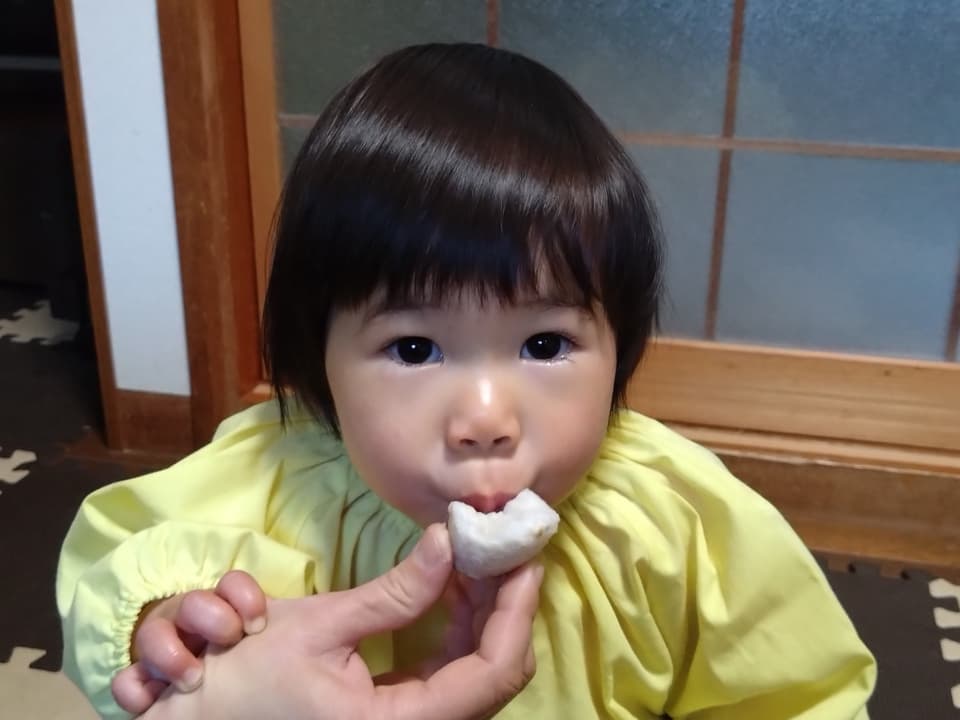【無農薬】里芋２種類食べ比べセット！栗のようにホクホク甘い里芋 八つ頭 ＆ 在来種の里芋 大野在来（大野芋）合計2.5kg【自然栽培】