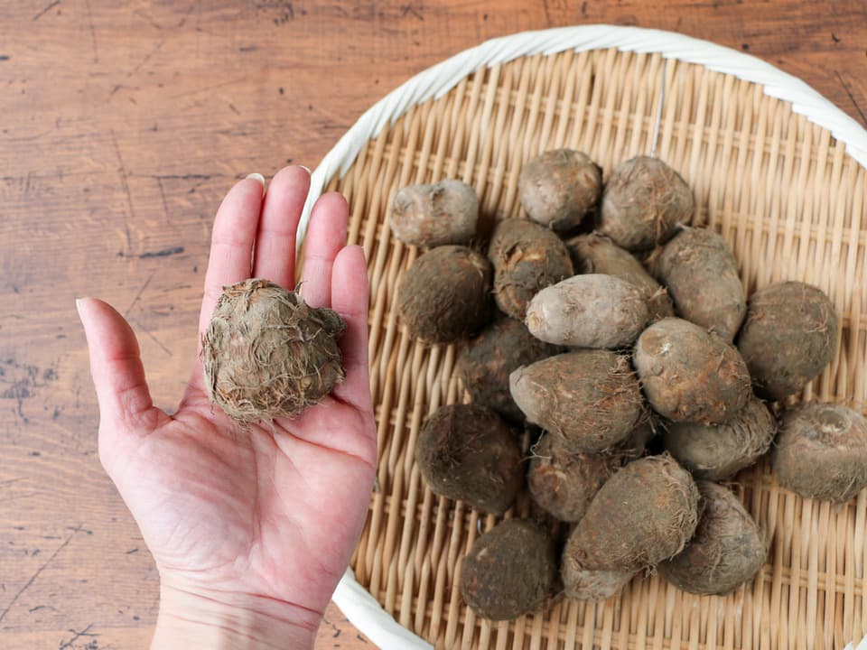【無農薬】里芋２種類食べ比べセット！栗のようにホクホク甘い里芋 八つ頭 ＆ 在来種の里芋 大野在来（大野芋）合計2.5kg【自然栽培】