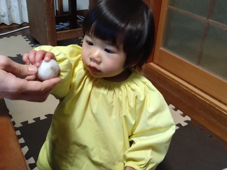 【無農薬】里芋２種類食べ比べセット！栗のようにホクホク甘い里芋 八つ頭 ＆ 在来種の里芋 大野在来（大野芋）合計2.5kg【自然栽培】