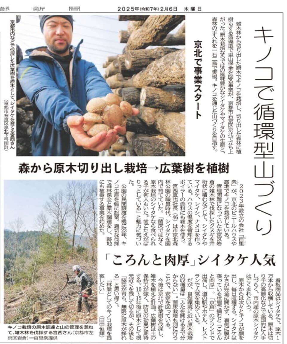 超希少【原木霊芝】乾燥スライス（京都京北産・農薬不使用）煎じて飲用がおすすめ