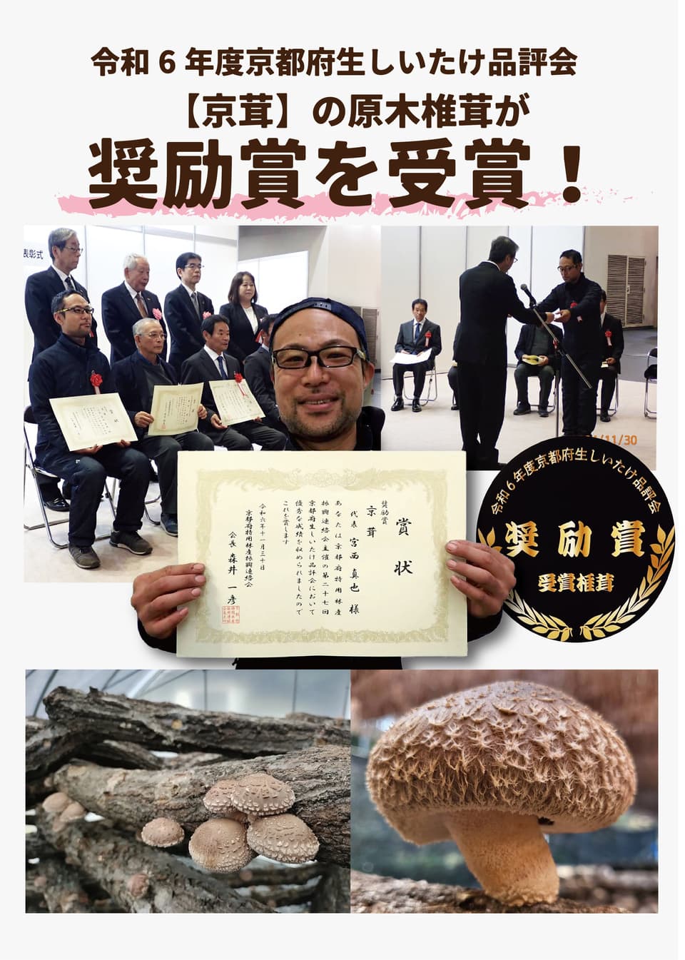 超希少【原木霊芝】乾燥スライス（京都京北産・農薬不使用）煎じて飲用がおすすめ