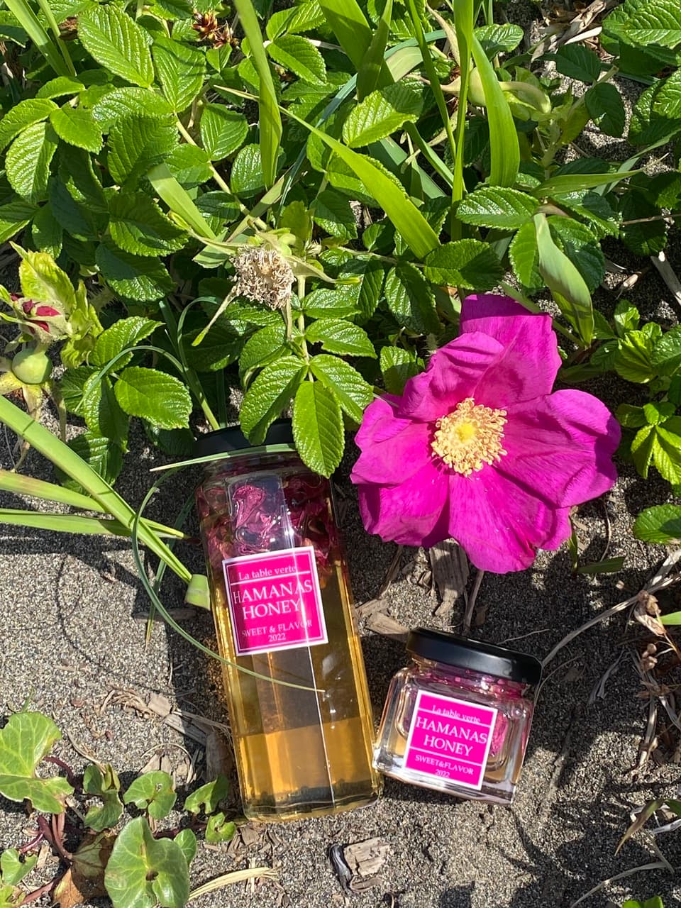 北海道産のローズハニー「HAMANAS HONEY」