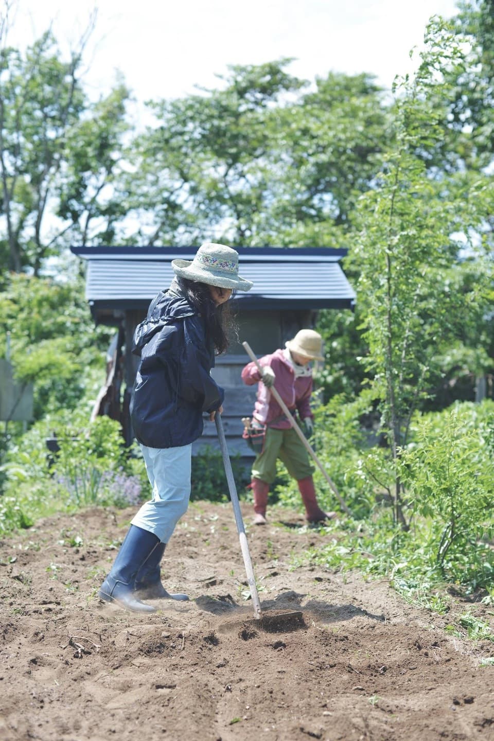 北海道産〈無農薬・無化学肥料栽培〉ハーブティー ネトル